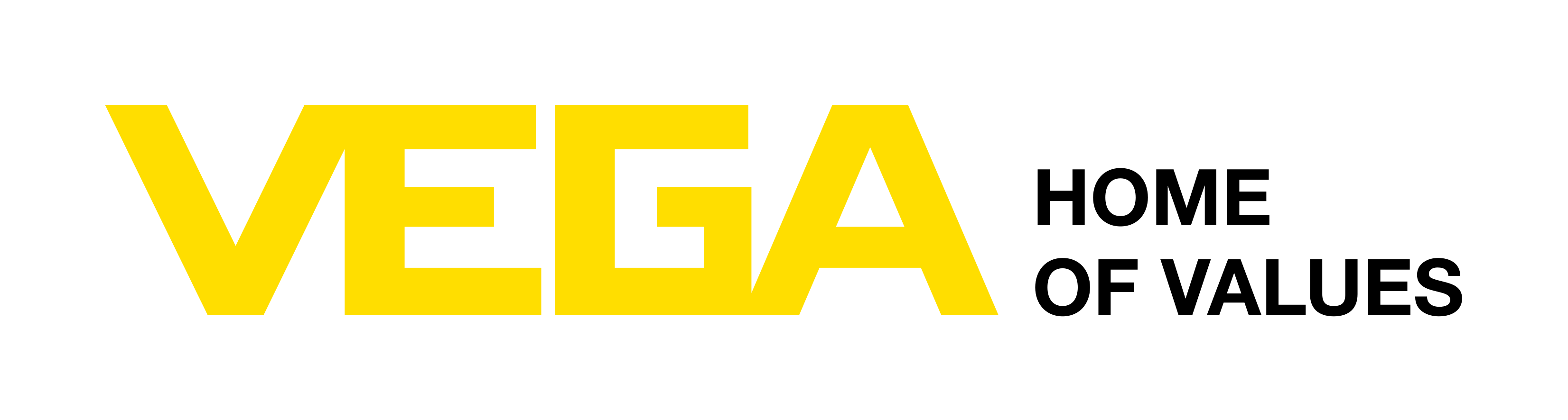Company name - VEGA